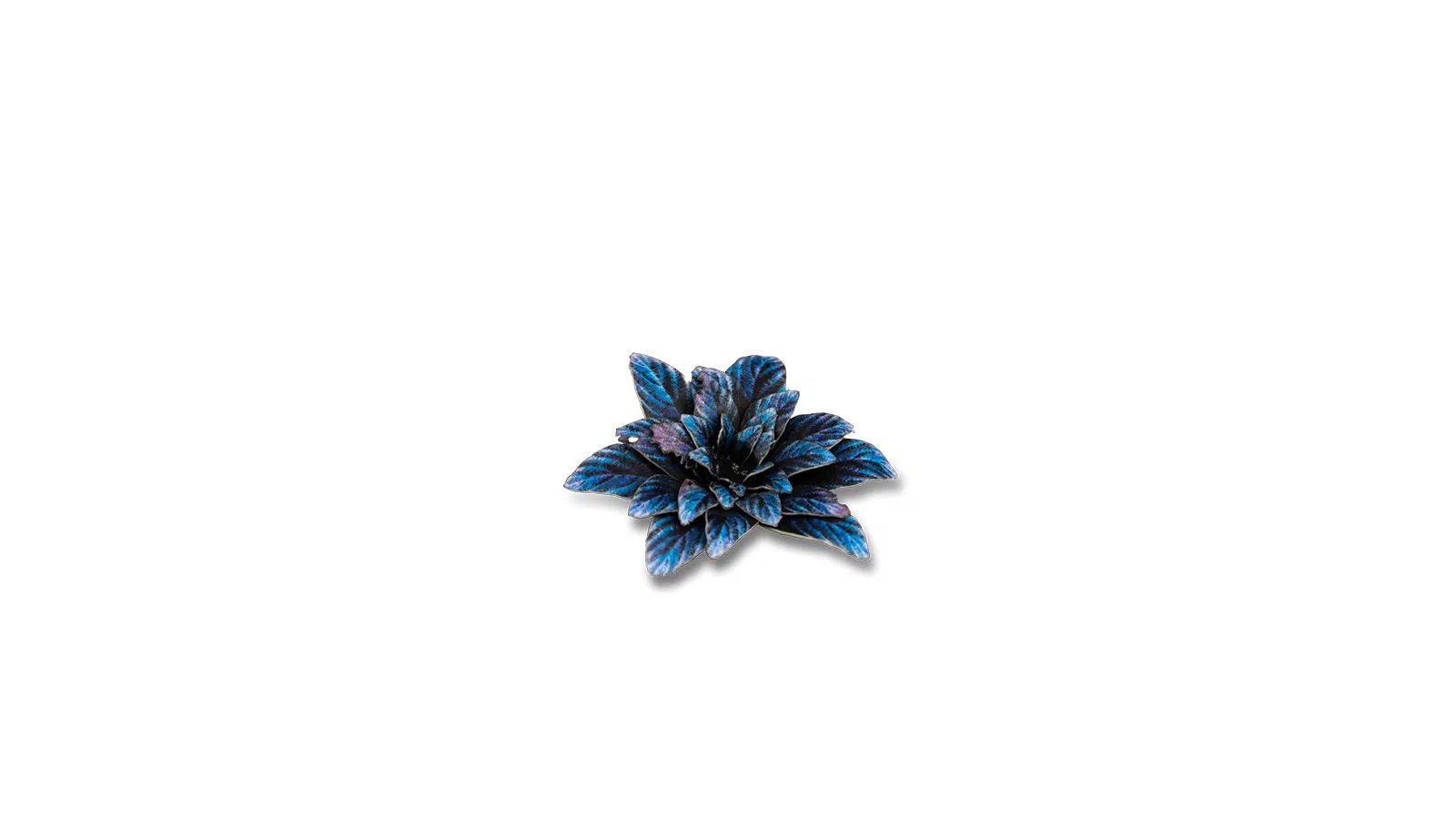 Gamers Grass Laser Plants Alien Rosette