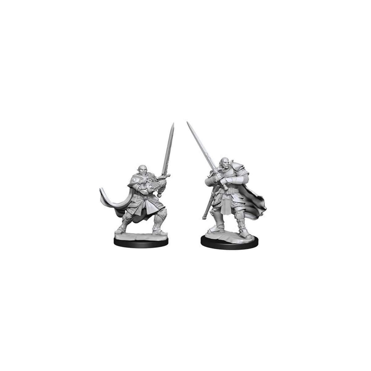 D&D Nolzurs Marvelous Miniatures Half-Orc Paladin Male