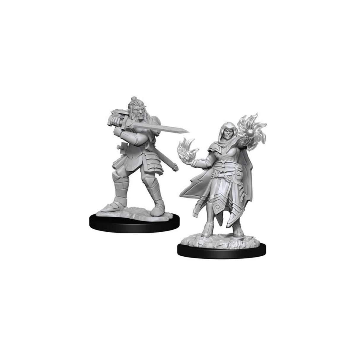 D&D Nolzurs Marvelous Miniatures Hobgoblin Fighter Male & Hobgoblin Wizard Female